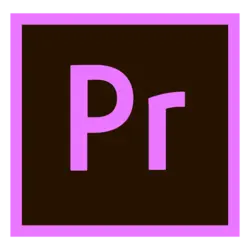 Video-Logo
